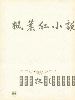 枫叶红小说封面