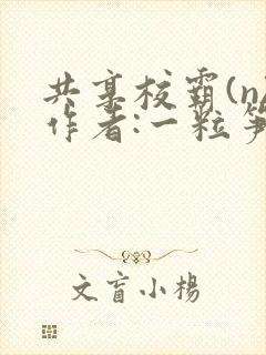 书籍封面