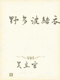 野多波结衣