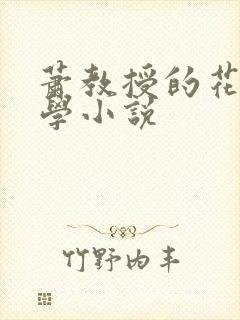 萧教授的花式教学小说封面
