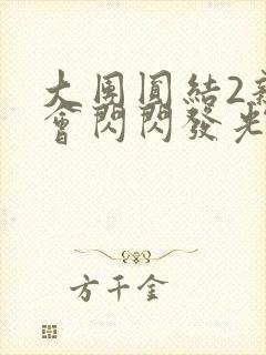 大团圆结2亲情会闪闪发光亲情会2
