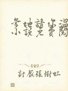 爹地请你温柔点小说免费阅读