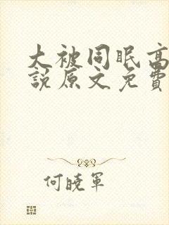 大被同眠高粱小说原文免费阅读封面