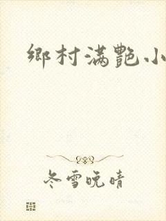 乡村满艳小说封面