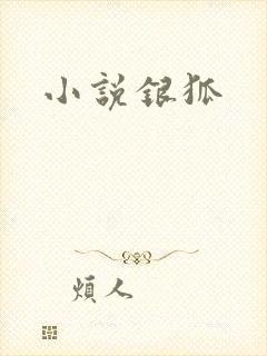 小说银狐
