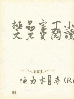 极品家丁小说全文免费阅读