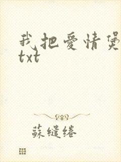 我把爱情煲成汤txt