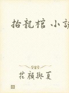 抬龙棺 小说