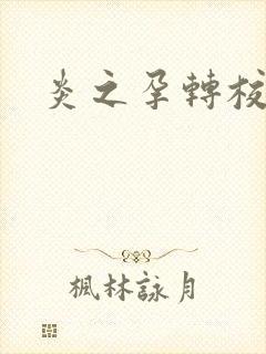 炎之孕转校生封面