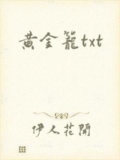 黄金笼txt