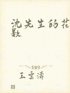 沈先生的花式调数