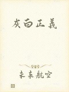 灰白正义封面