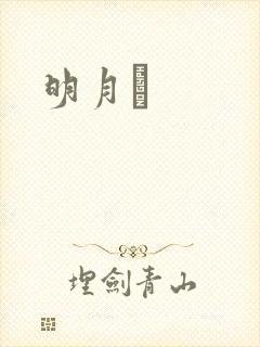 明月珰封面