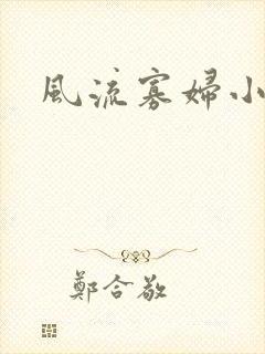 风流寡妇小说