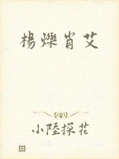 杨烁肖艾