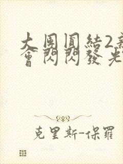 大团圆结2亲情会闪闪发光亲情会2封面