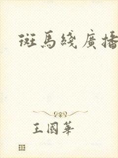 斑马线广播剧封面