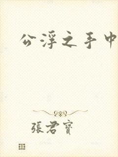 公浮之手中字5