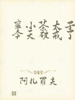 宁小茶太子殿下今天破戒了吗免费阅读