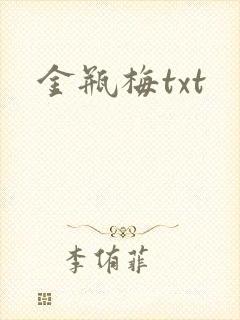 金瓶梅txt封面