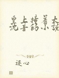皇上撞着太子妃沈音的小说叫什么封面