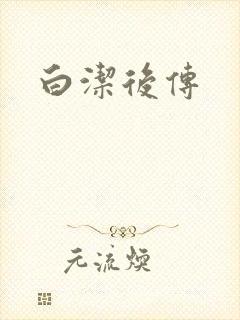 白洁后传封面