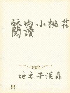酥肉小桃花全文阅读