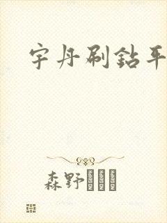 宇丹刷钻平台