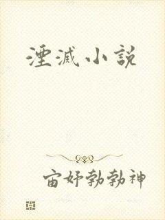 湮灭小说