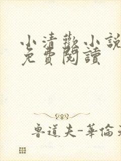 小清欢小说全文免费阅读