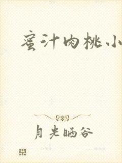 蜜汁肉桃小说