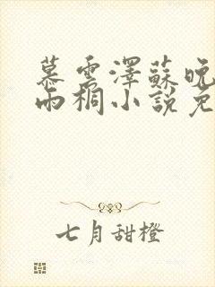 慕云泽苏晚晴夏雨桐小说免费阅读