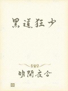 黑道狂少封面