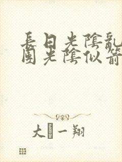 长日光阴乱作一团光阴似箭无弹窗封面