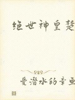 绝世神皇楚风