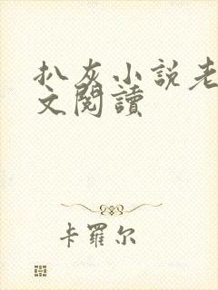 扒灰小说老马全文阅读封面