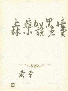 上瘾by黑暗森林小说免费