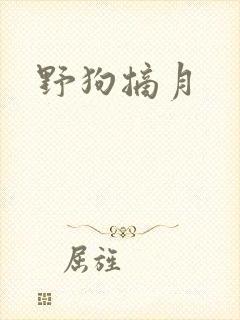 野狗摘月