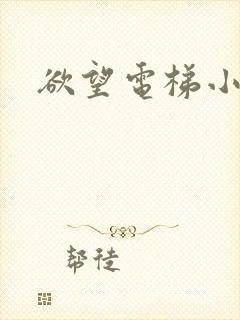 欲望电梯小说