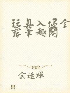 玩具入侵金银花露笔趣阁封面