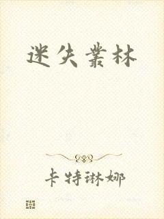 迷失丛林