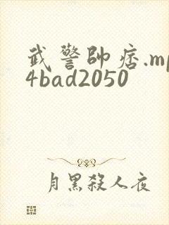 武警帅痞.mp4bad2050