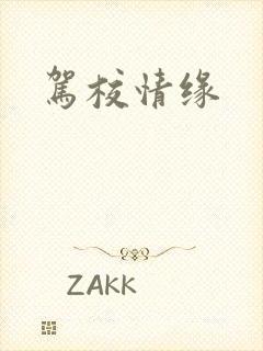 驾校情缘封面