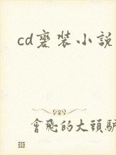 cd变装小说