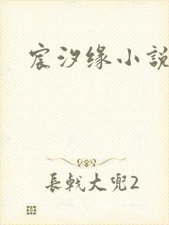 宸汐缘小说