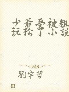 少爷受被粗汉H玩松了小说