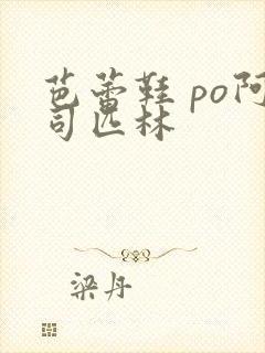 芭蕾鞋 po阿司匹林封面
