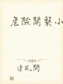危险关系小说