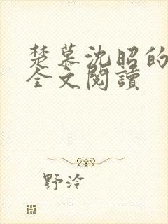 楚慕沈昭的小说全文阅读