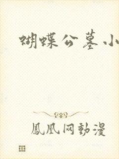 蝴蝶公墓小说